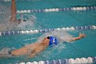 Swim vs Bentley  Wheaton College Swimming & Diving vs Bentley University. - Photo by Keith Nordstrom : Wheaton, Swimming & Diving